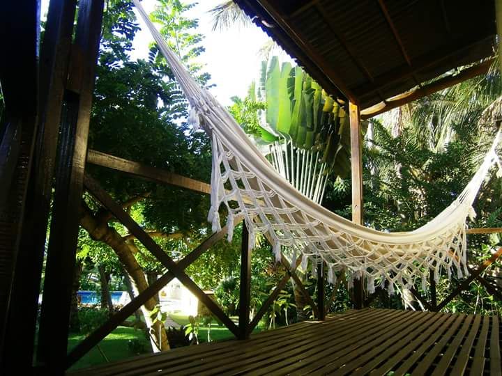 White hammock hangs on a wooden porch, surrounded by lush green tropical foliage.