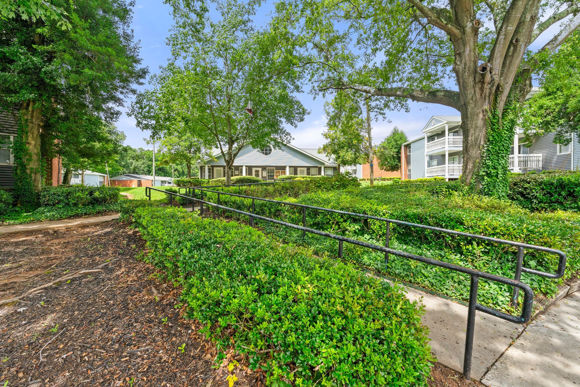 Tree-lined path with black railings beside a hedge, leading to houses in a sunny neighborhood.