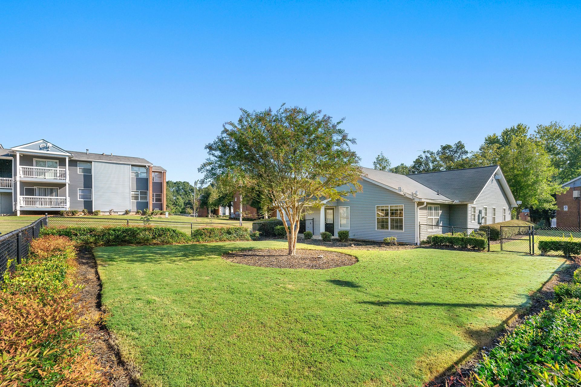 Suburban house with a green lawn, tree, and hedge, beside a paved walkway under a blue sky