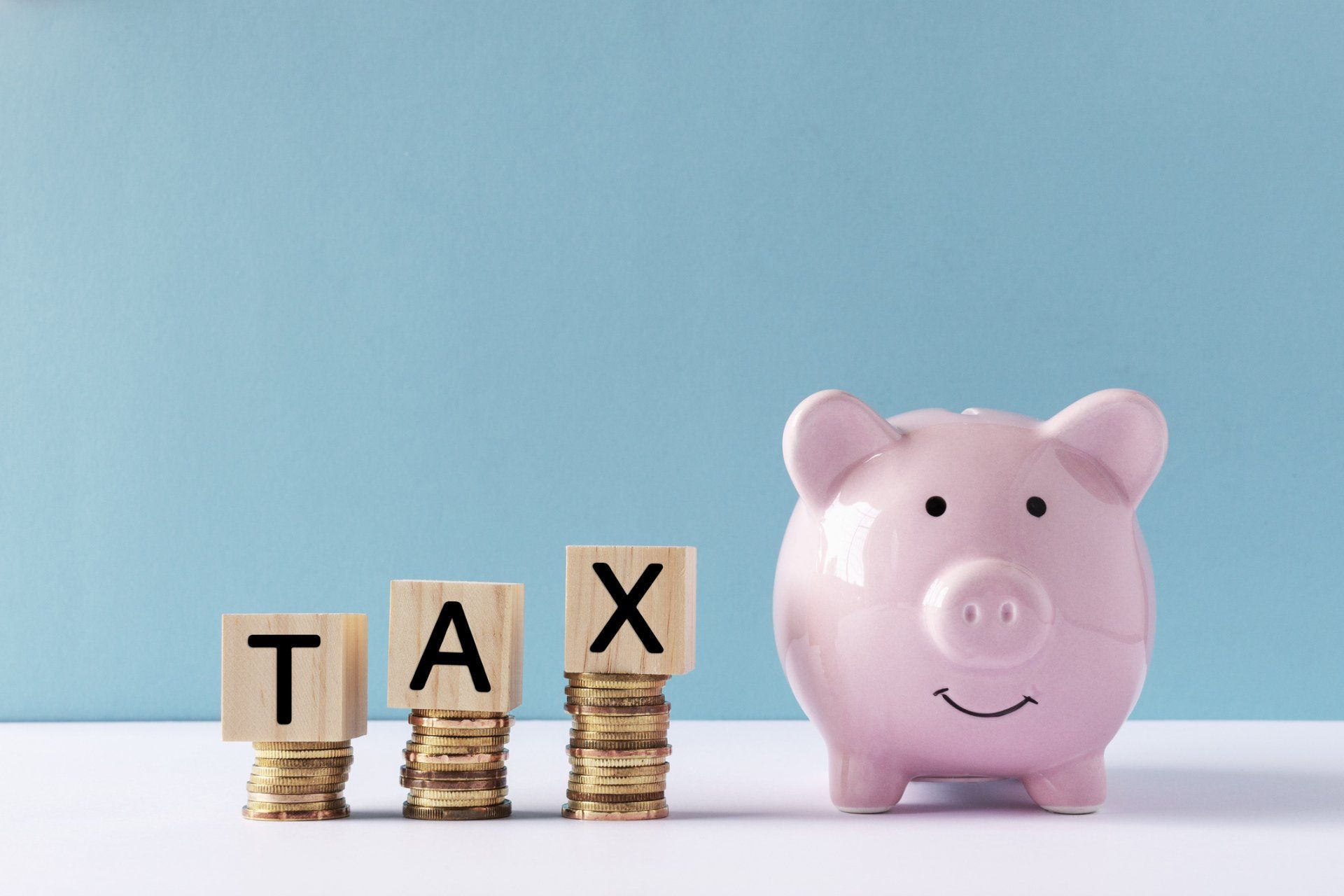 Coins And Piggy Bank — Elkton, MD — Thomas C Jones CPA
