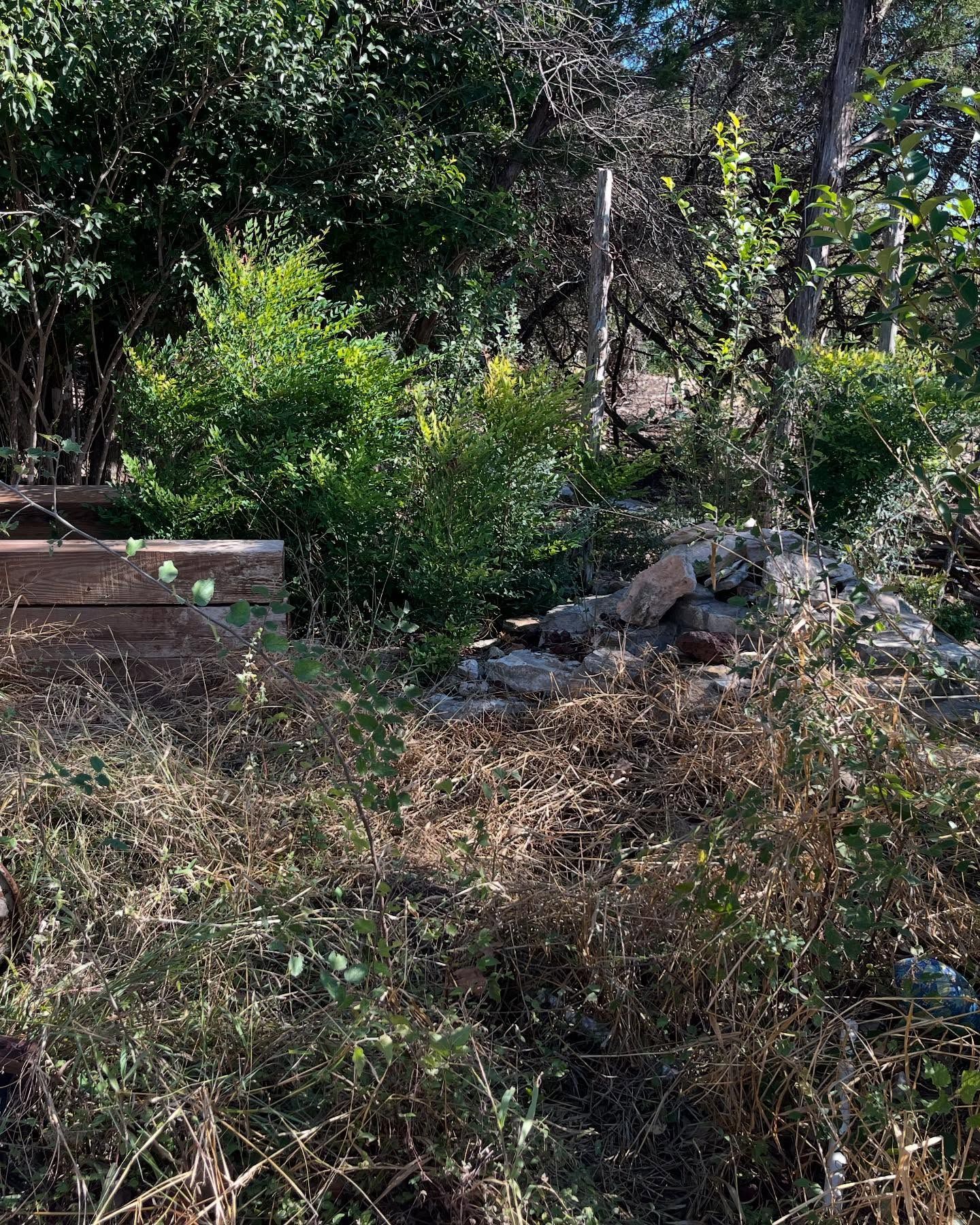 A yard scene featuring a raised wooden garden bed, a pile of rocks, and overgrown green shrubs against a wooded backdrop.