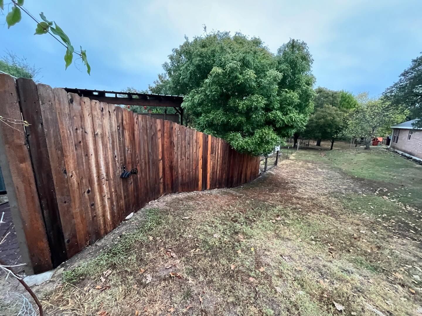 A tall, weathered wooden fence curves along a sloped, grassy yard next to a large tree under a cloudy sky.