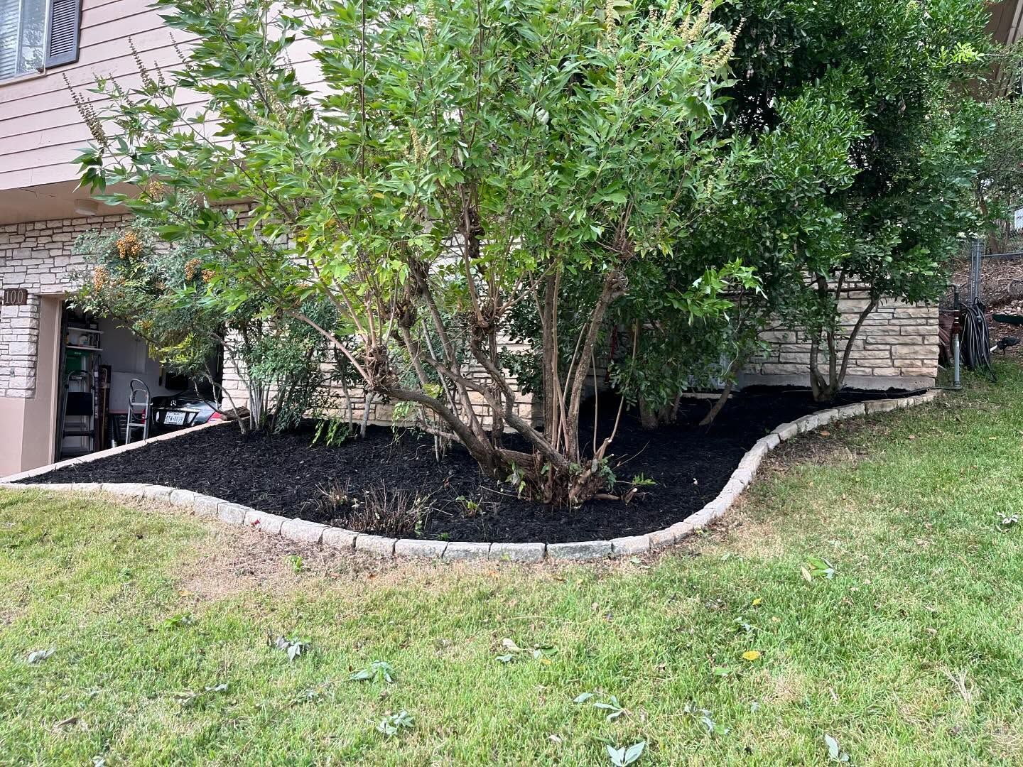 A residential flower bed with dark mulch and light stone edging planted with a large green shrub in front of a house.