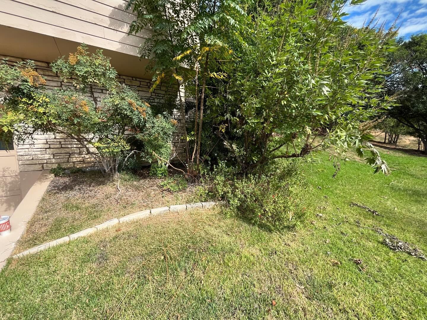 A landscaped garden bed with a stone border in front of a house, featuring shrubs, a small tree, and a grassy lawn.