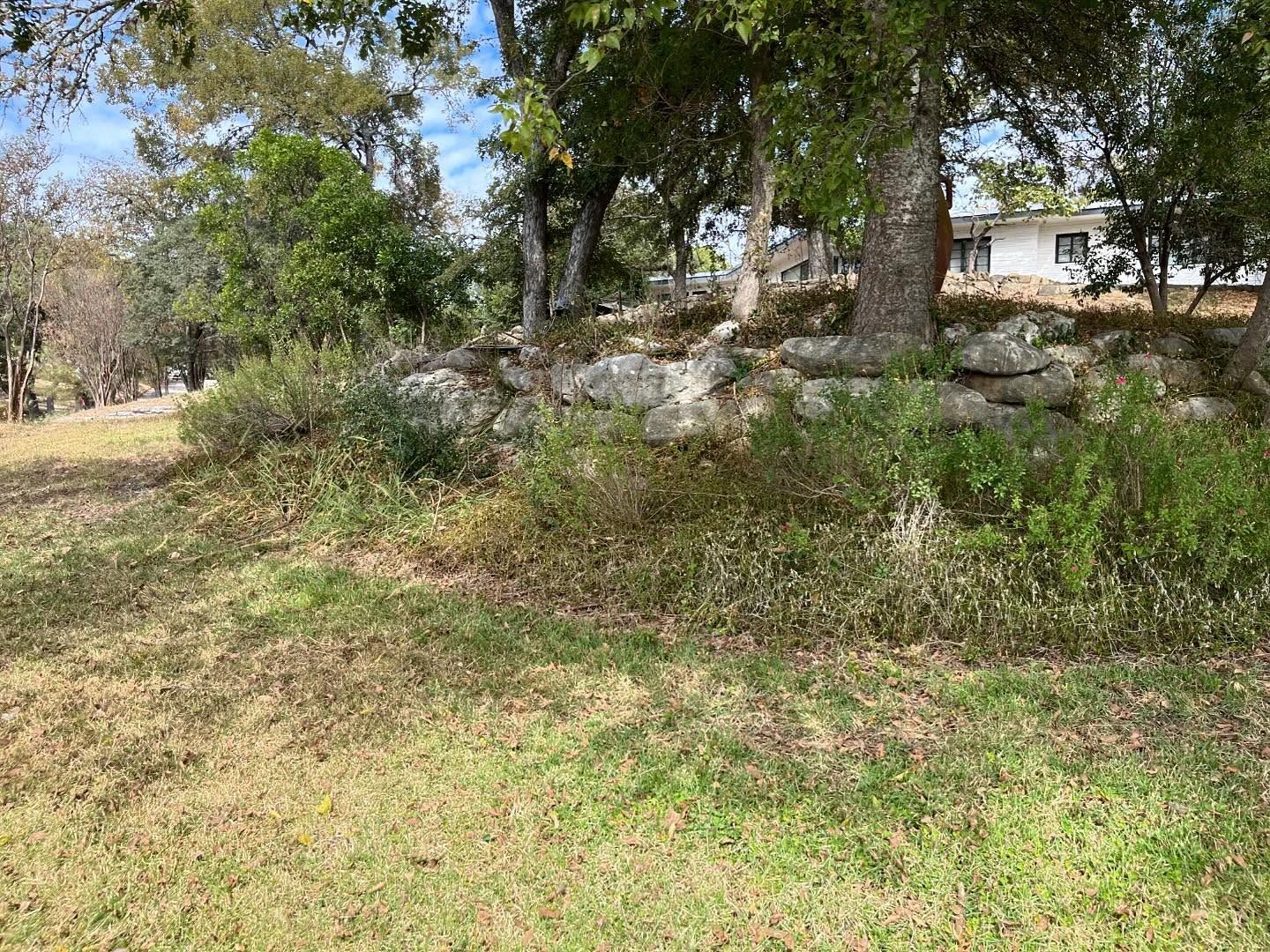 A grassy, sloped yard features a stone retaining wall topped with mature trees and a white house in the background.
