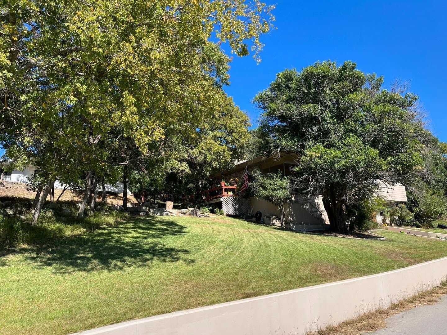 A house with a wood-accented exterior is partially obscured by trees on a grassy hill next to a concrete wall under a blue sky.