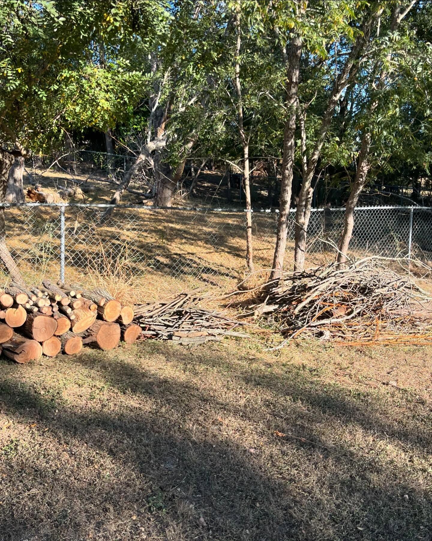 A pile of firewood and a separate heap of brush sit on dry grass in front of a chain-link fence and trees.