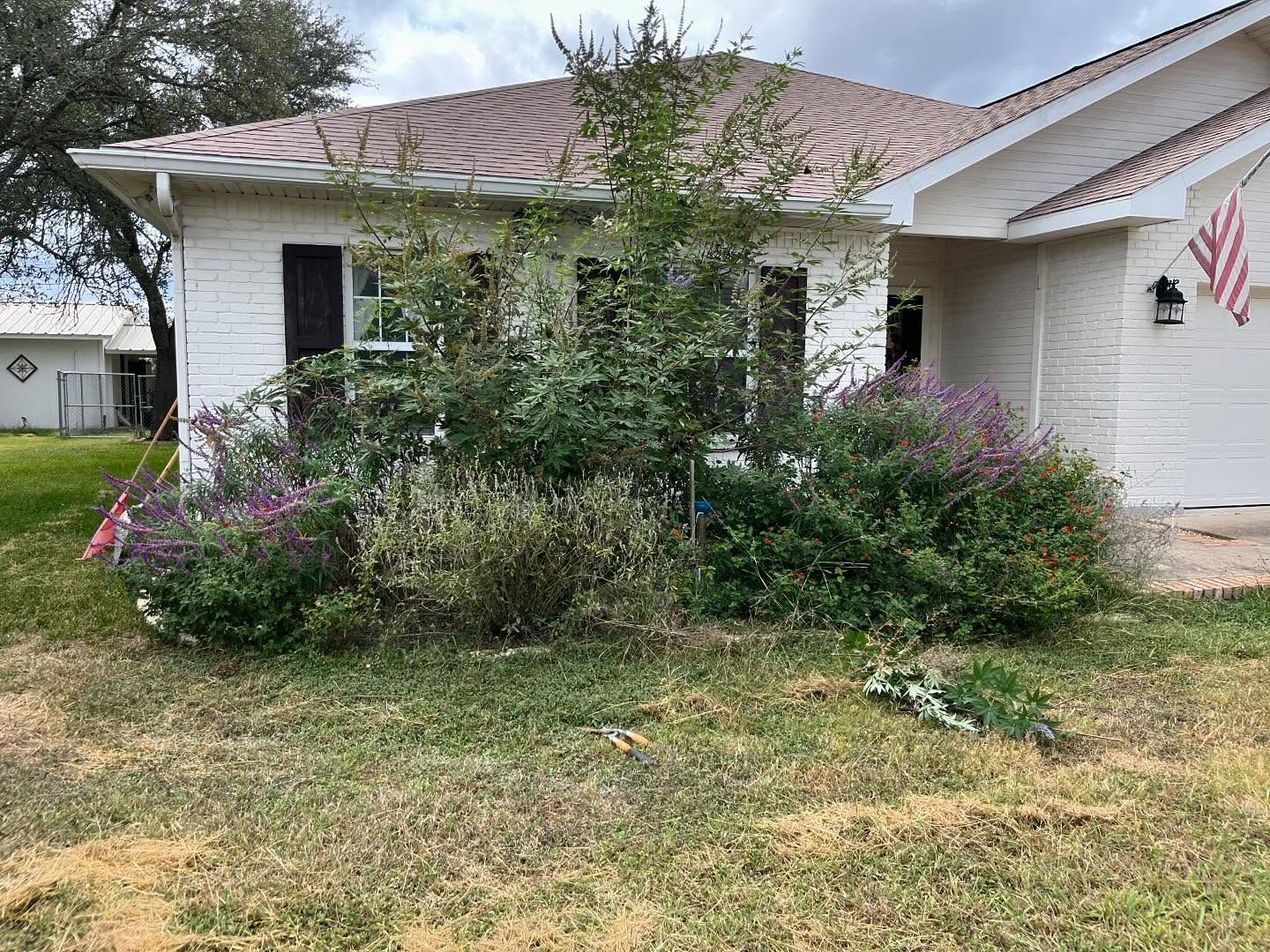 A white brick house with a brown shingled roof, dark shutters, and a large, overgrown shrubbery garden in the front yard.