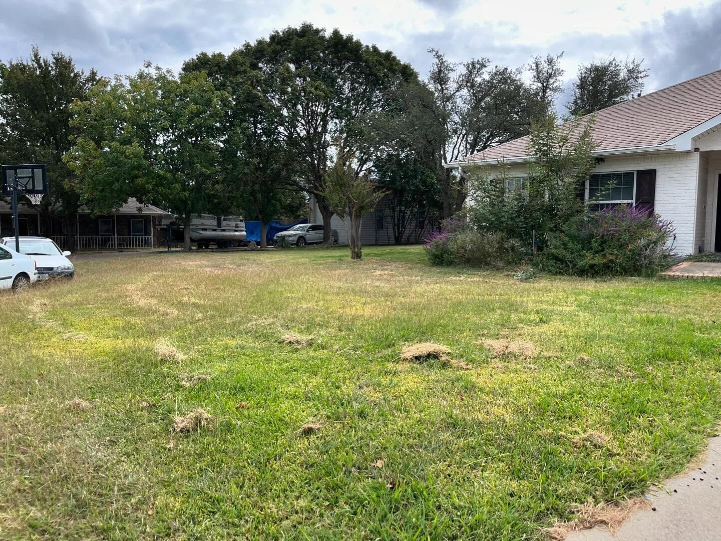 A residential yard with patchy green grass, surrounding trees, a white house on the right, and two cars parked in the back.