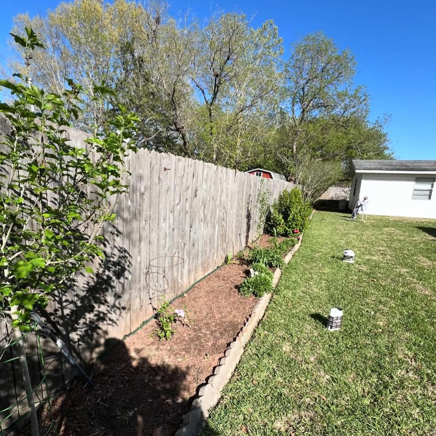 A backyard with a wooden fence, a garden bed with small plants, and a white house under a clear blue sky.