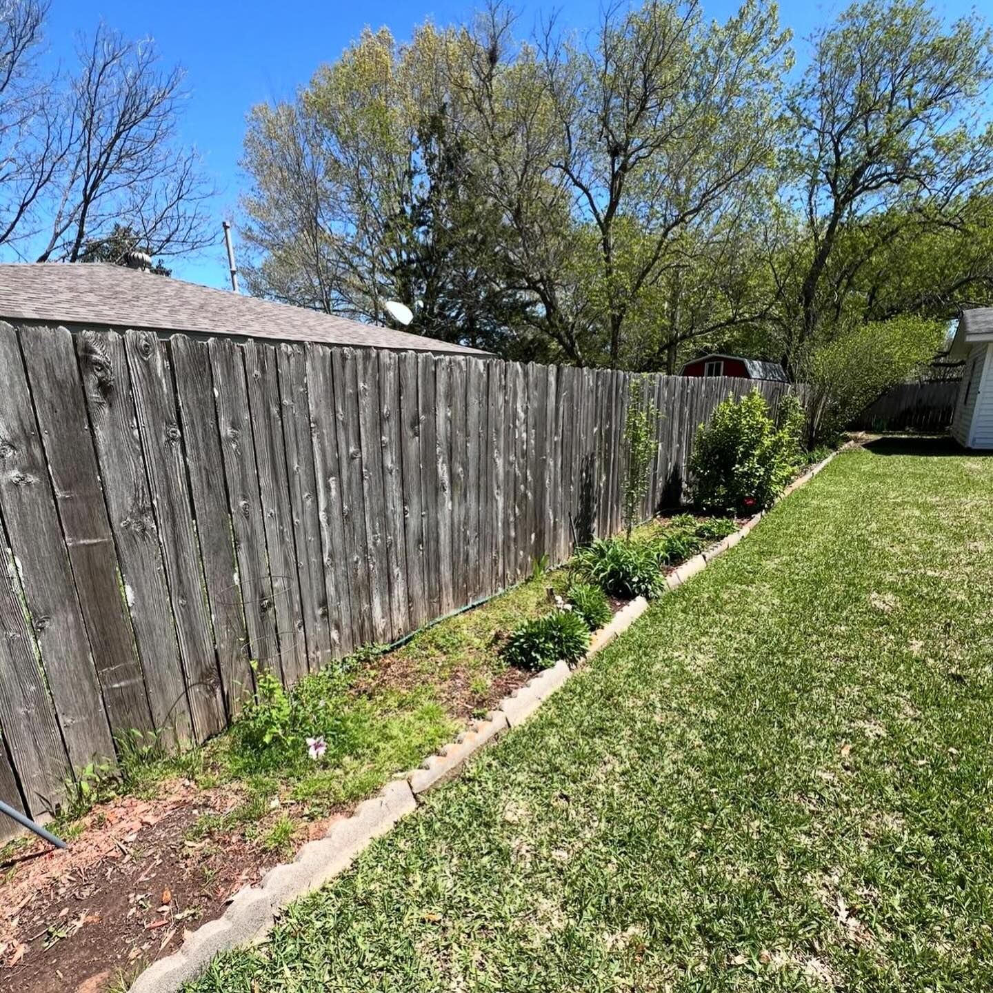 A wooden fence borders a green lawn with a concrete garden edge and small plants in a sunny backyard.