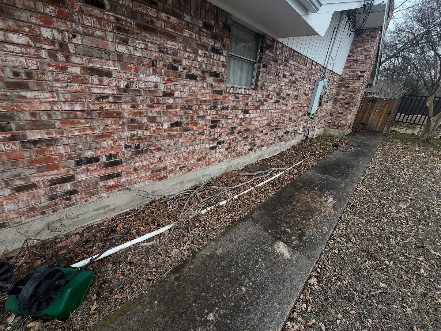 A brick house exterior with a concrete walkway, leaves on the ground, and a white pipe leading to a green container.