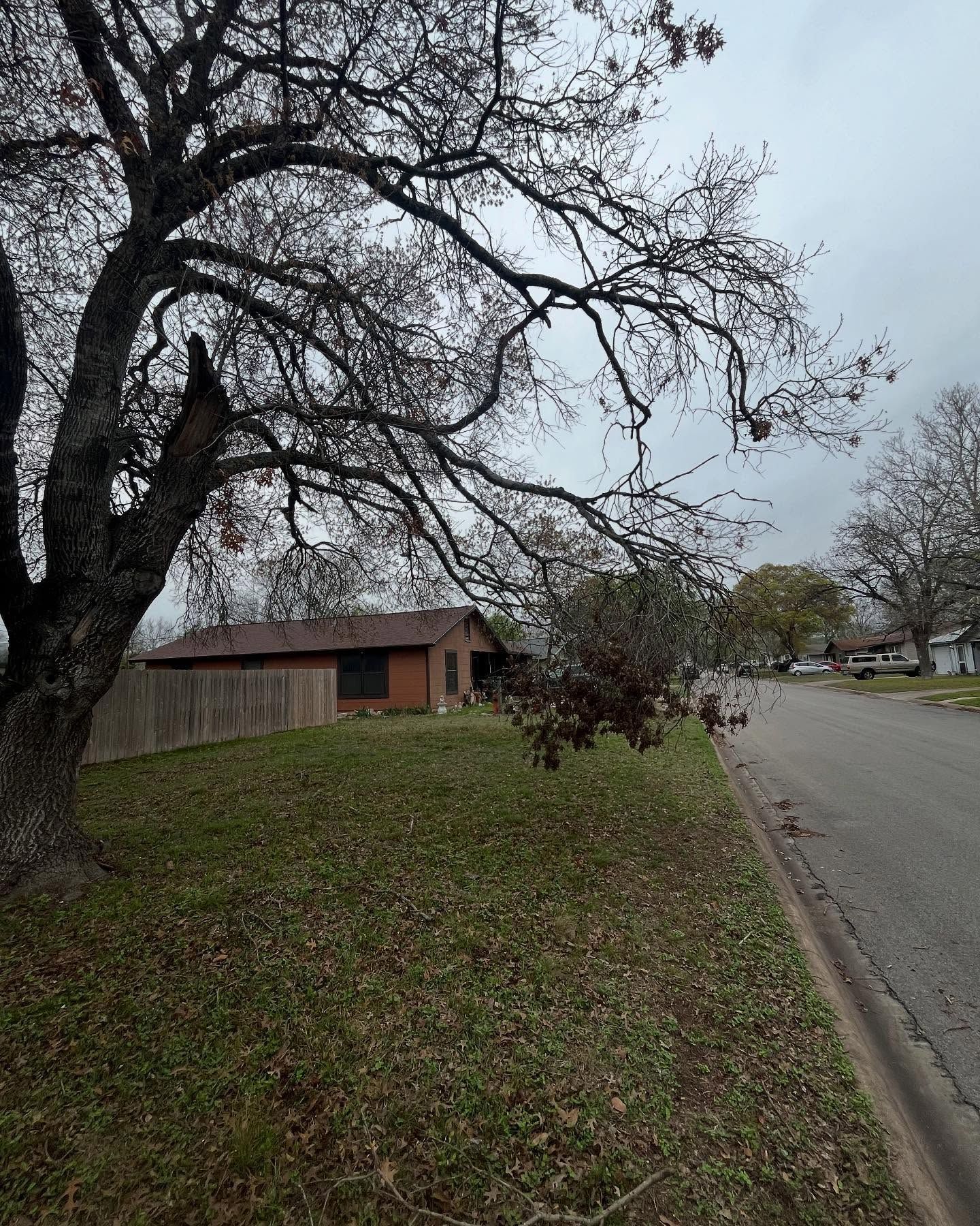 A brown house sits behind a wooden fence next to a large, bare tree along a suburban street under a cloudy sky.