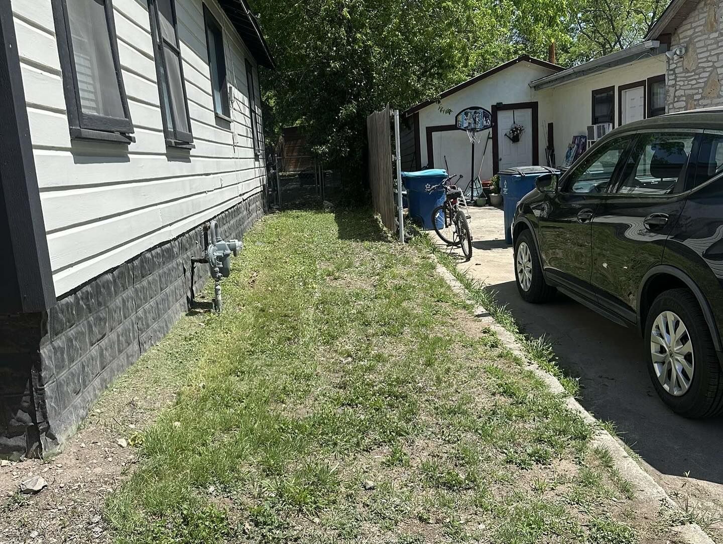 A patch of grass between a white-sided house and a dark SUV, with blue recycling bins and a bicycle in the background.