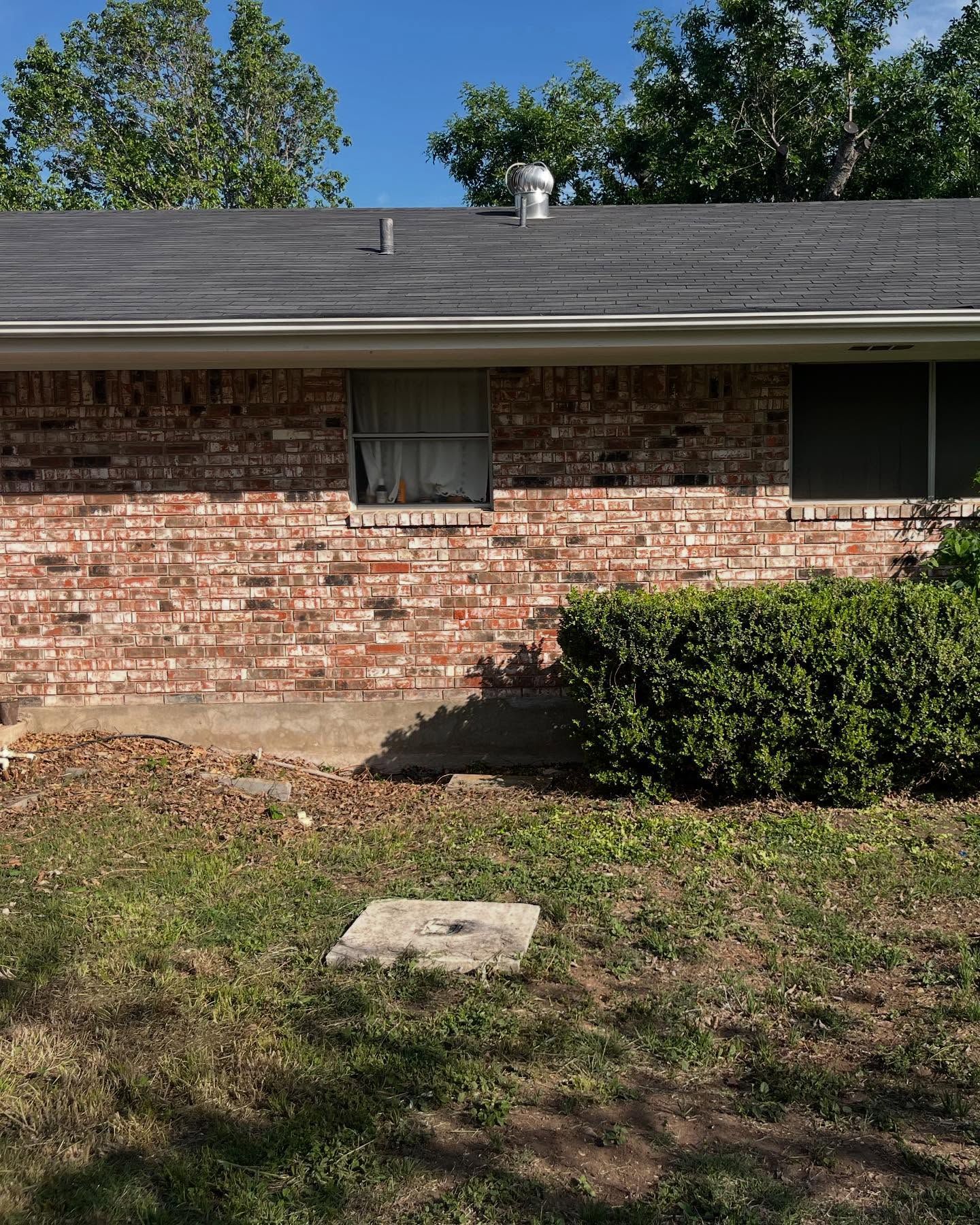 The exterior wall of a brick house with a window, a shrub, and a concrete slab in the yard under a sunny blue sky.