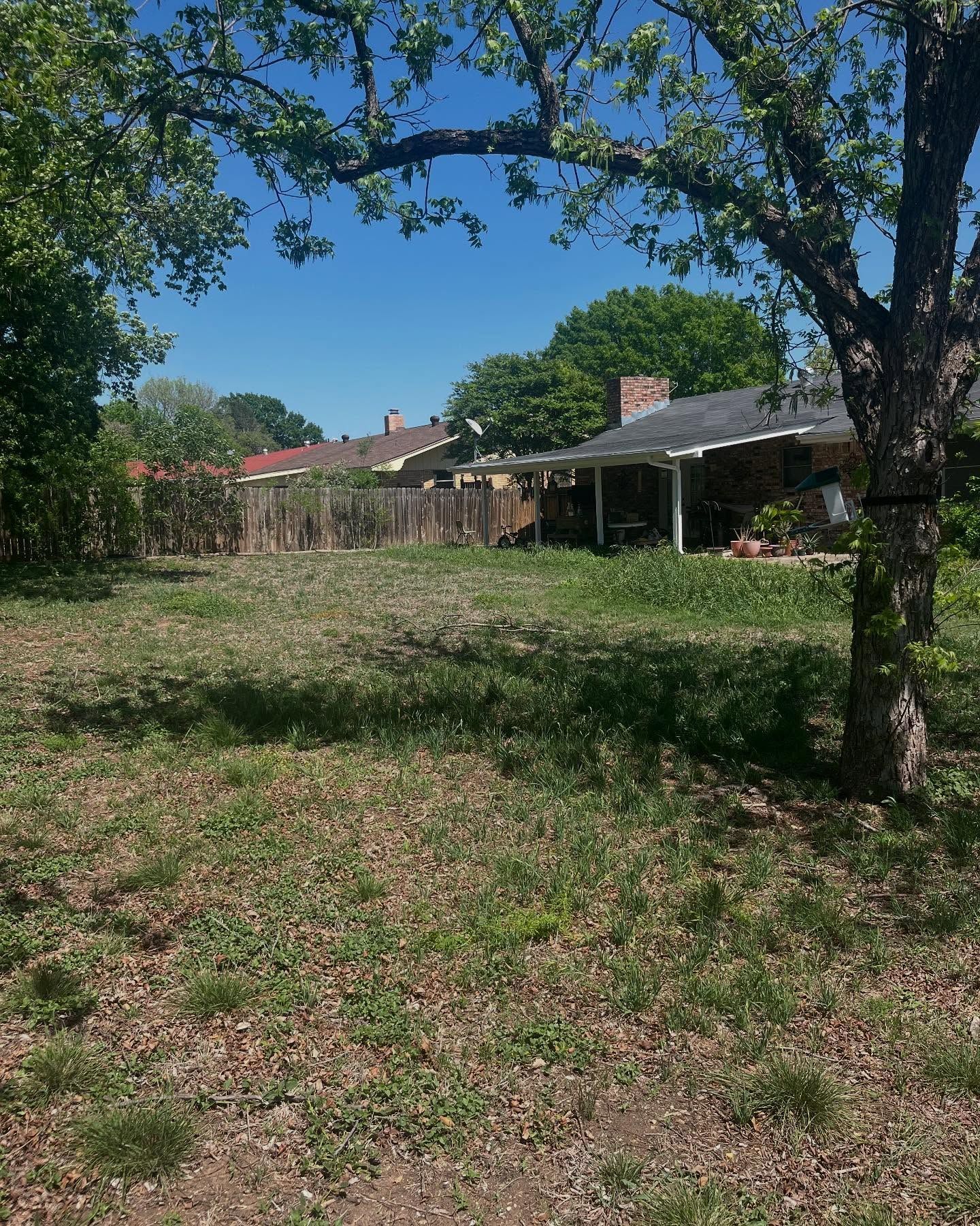 A grassy backyard with a large tree in the foreground and a residential house with a porch visible in the background.