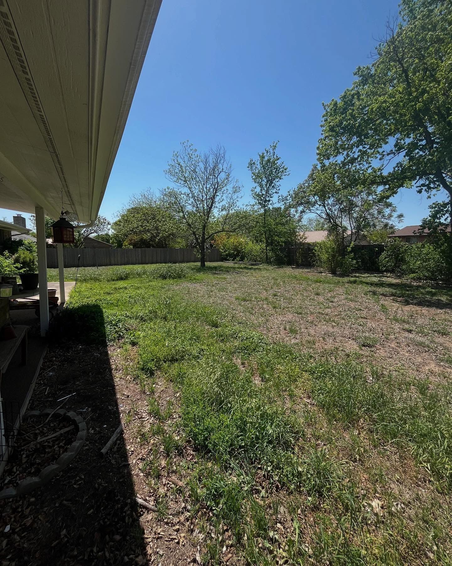 A sunny backyard view from a patio, featuring a large grassy area with patches of weeds and trees against a clear blue sky.