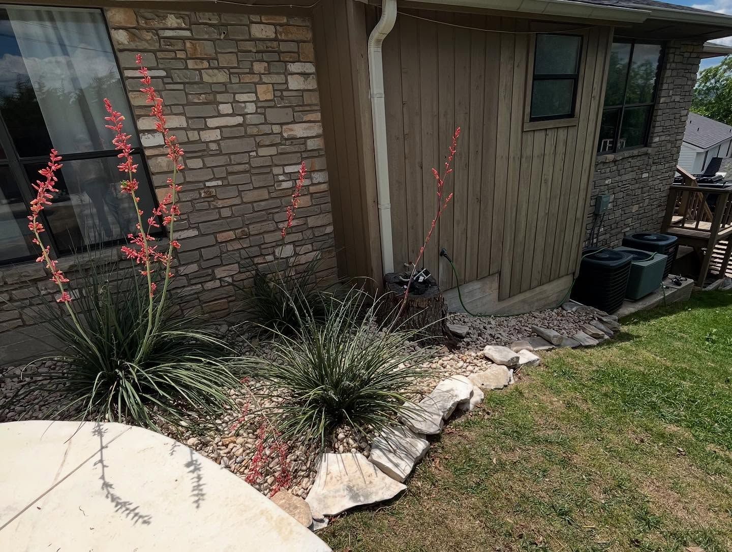 A stone-walled house exterior with spiky desert plants featuring tall, red flower stalks planted in a rock garden.