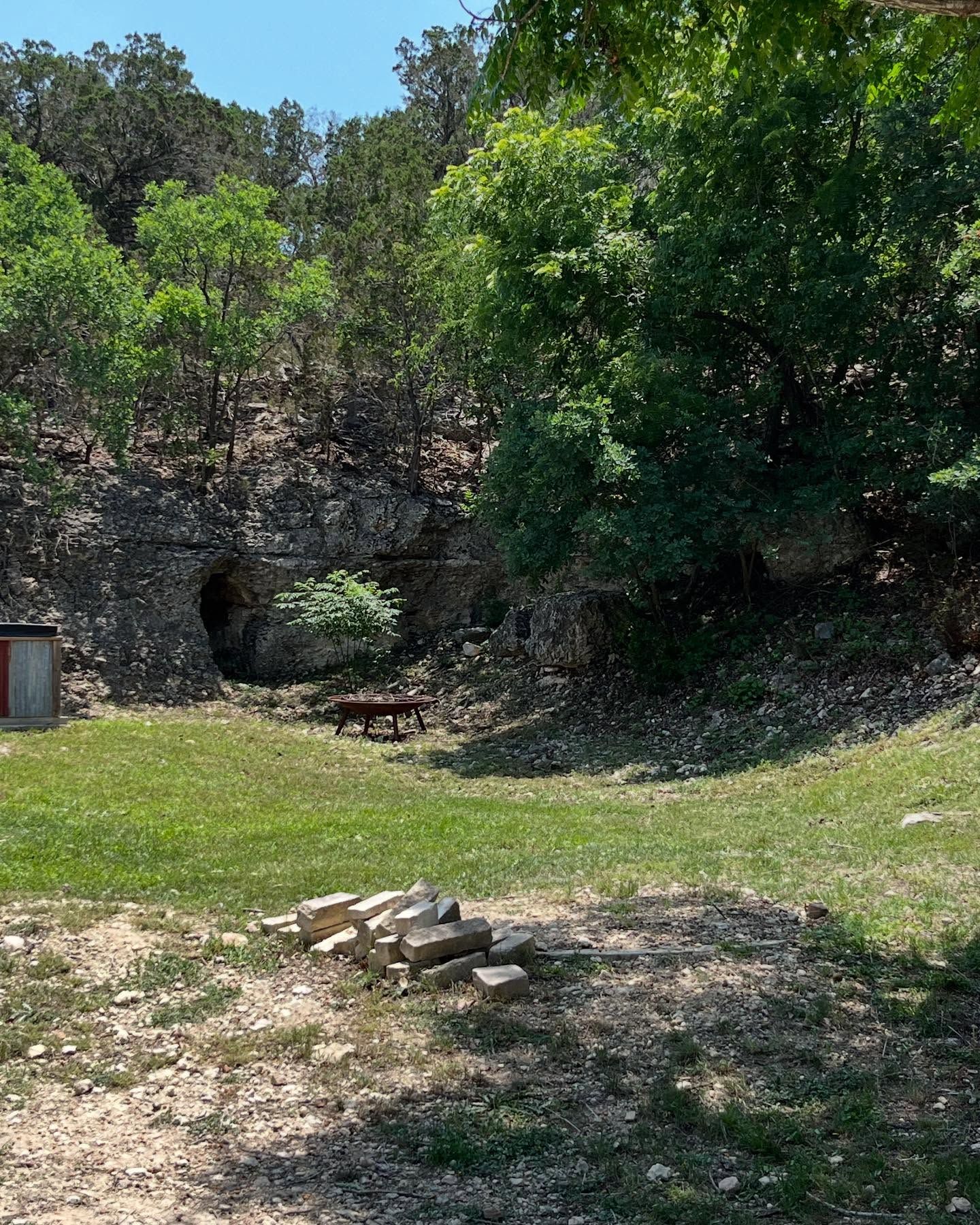A brown dog walks through a sunny, grassy clearing in front of a rocky hillside with a small cave entrance and woods.