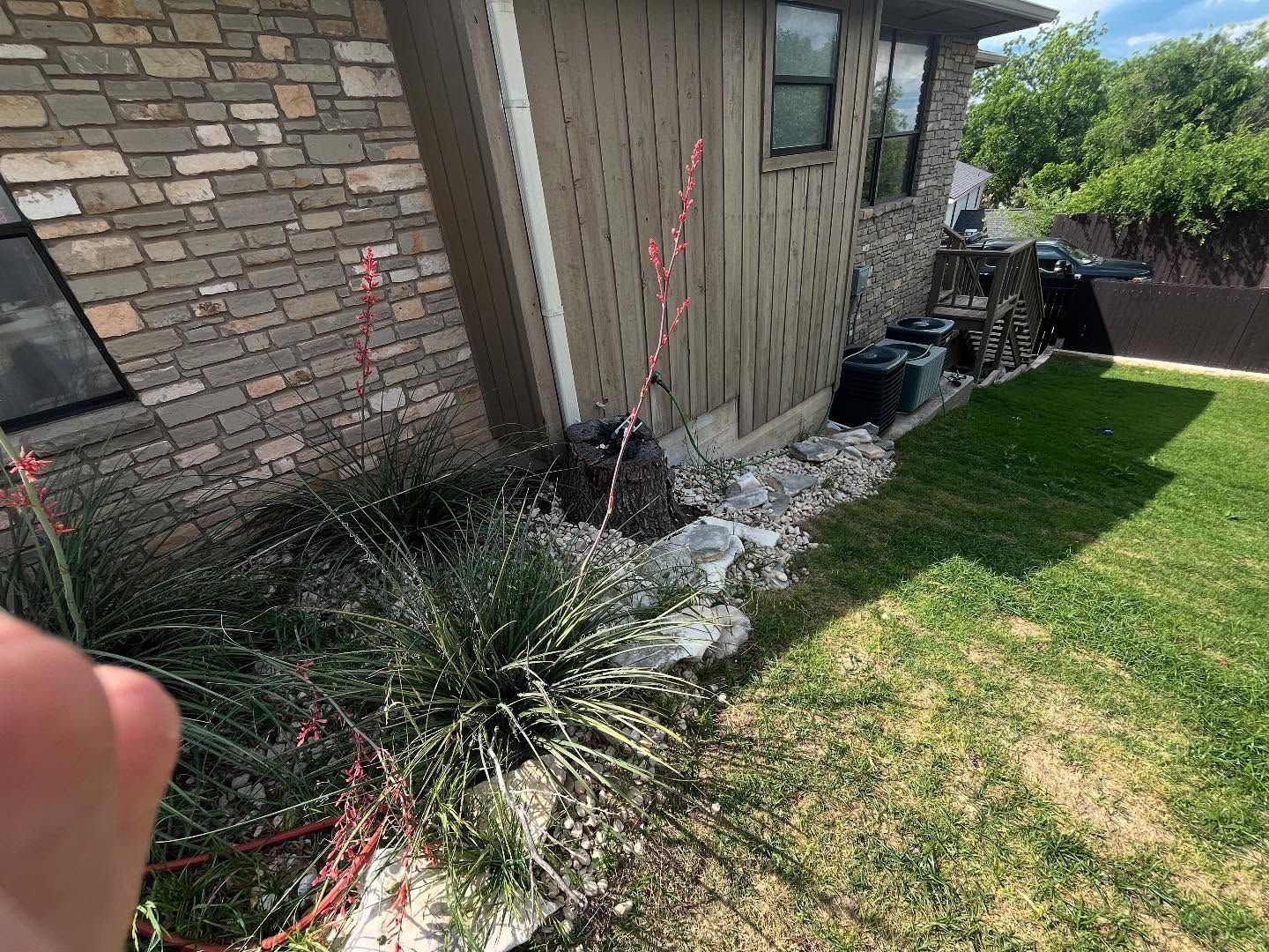 A rocky garden bed with flowering yucca plants beside a brick-and-wood house wall next to a green lawn.