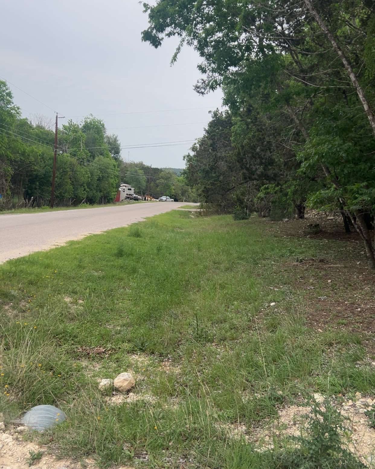 A rural road stretches into the distance, flanked by a grassy verge on the right and dense green trees on both sides.