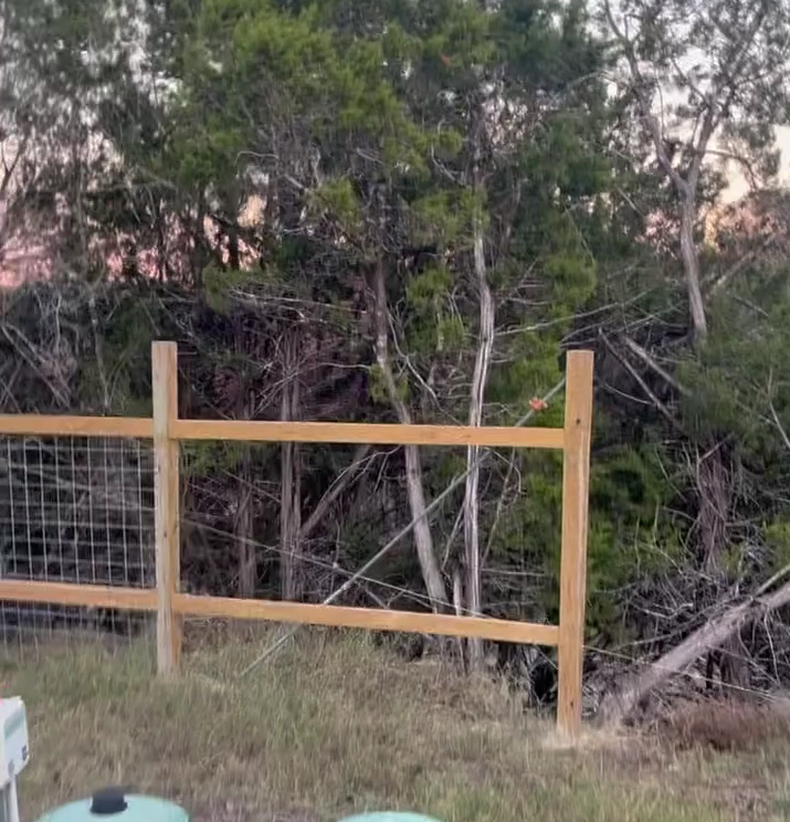 A wooden fence with wire mesh panels sits in front of a dense thicket of trees at dusk.