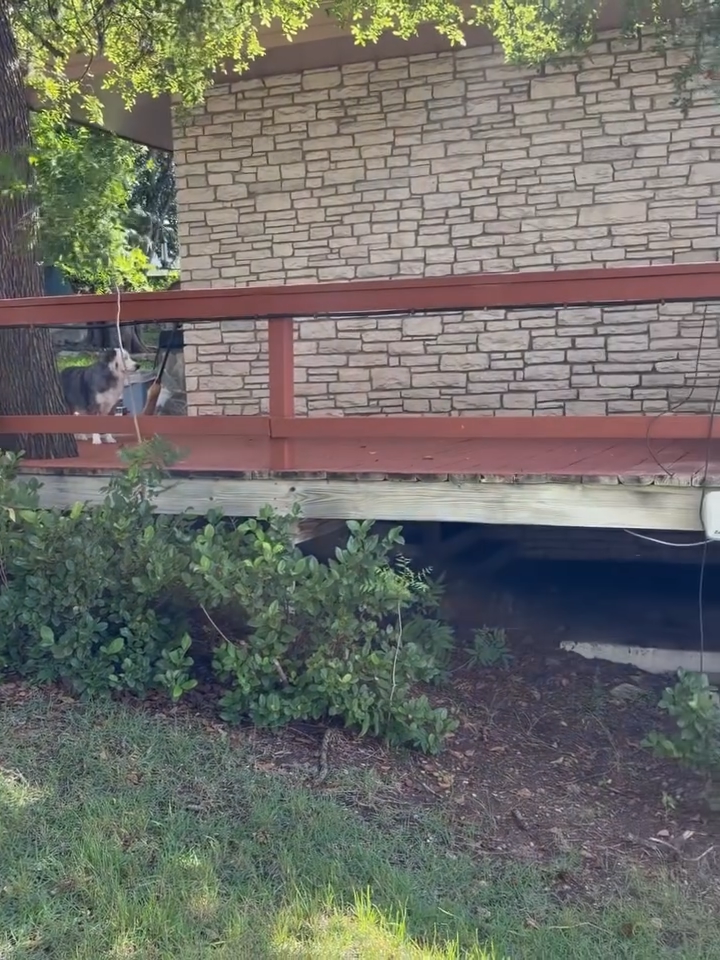 Red-railed bridge beside a stone wall, with trees and shrubs below.