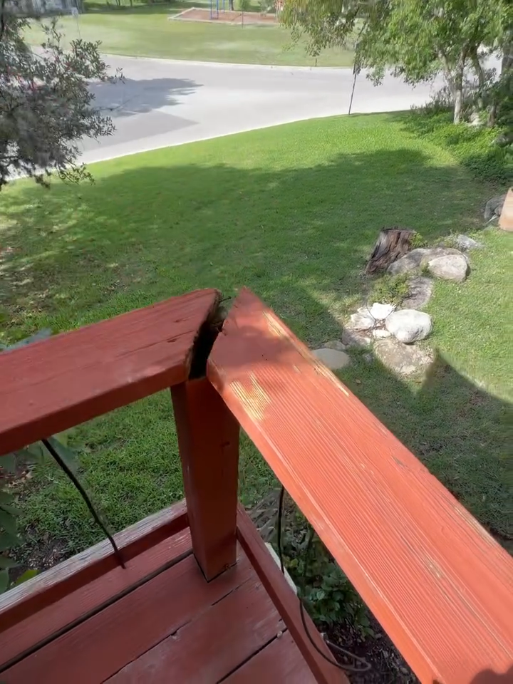 Wooden deck railing overlooking a green lawn, sidewalk, and a small squirrel on the grass near rocks.