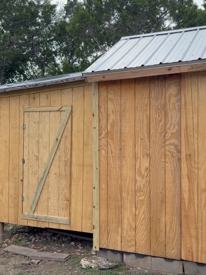 Weathered wooden shed with a metal roof and a small door, set outdoors among trees.