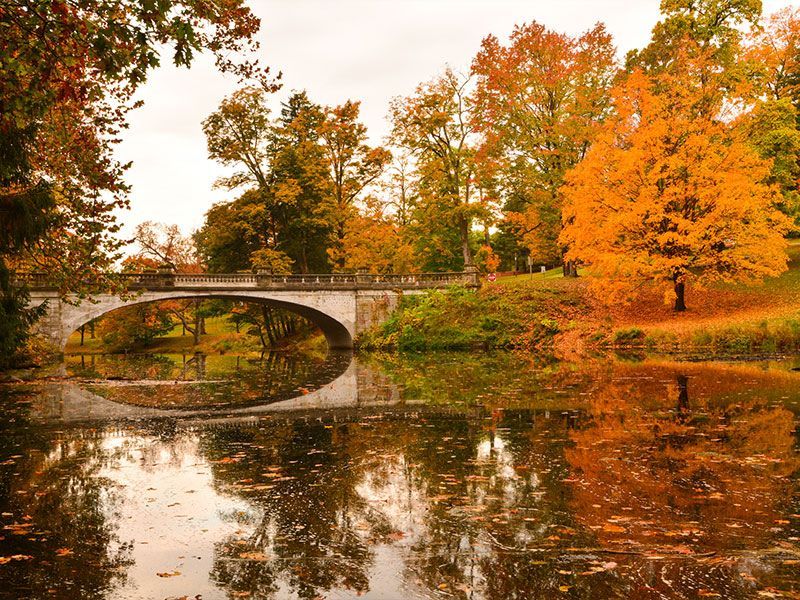 Stone bridge over a calm pond with vivid autumn trees and reflections