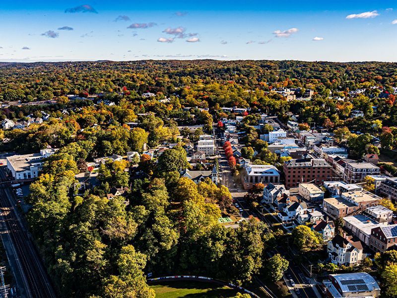Aerial view of a leafy neighborhood with houses, trees, and a blue sky.