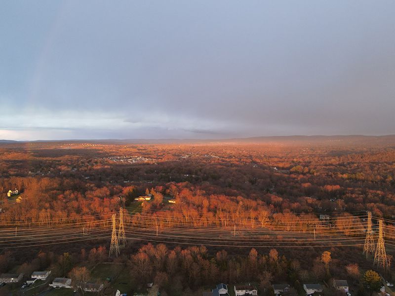 Autumn forest and power lines under a cloudy sky at sunset