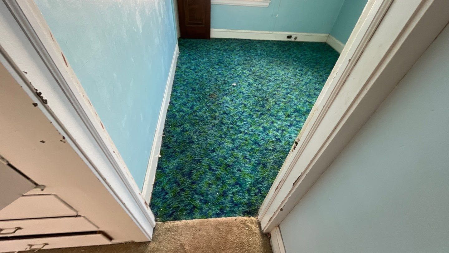 Narrow hallway with blue walls and green patterned carpet, viewed from above through an open doorway
