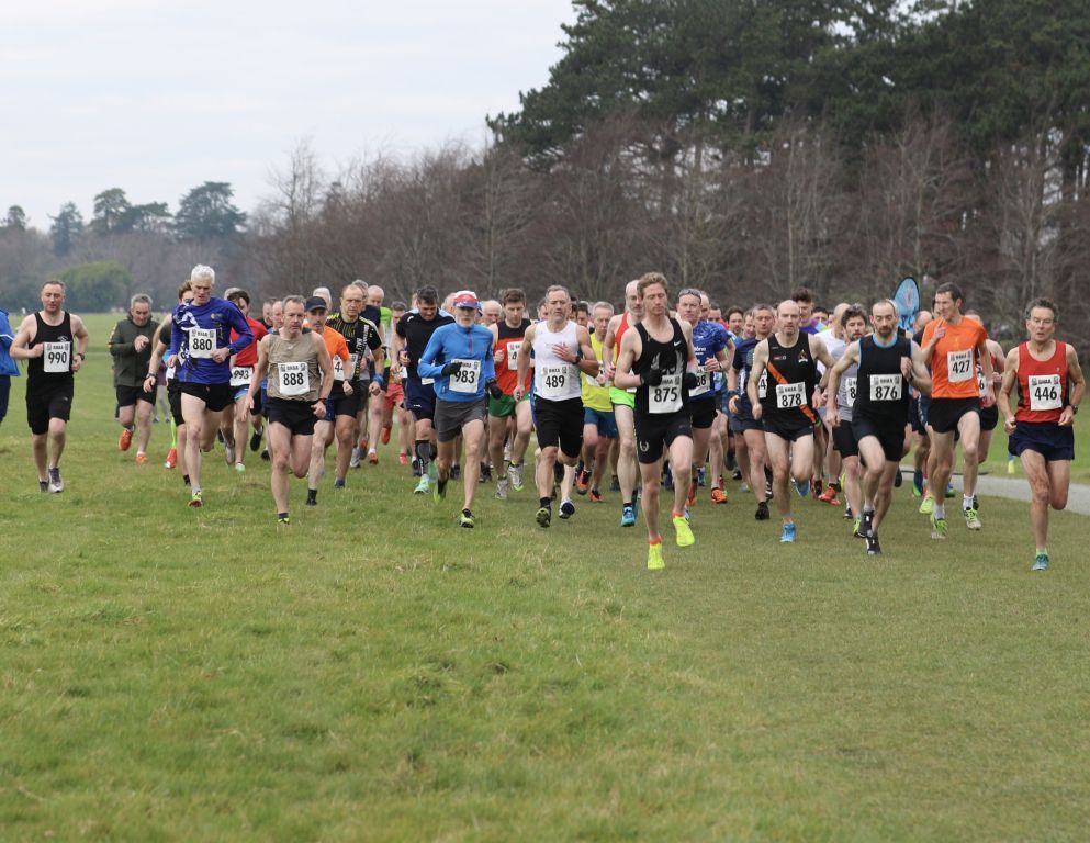 A large group of people are running in a field.