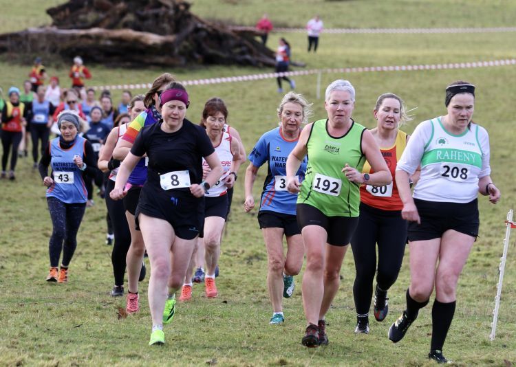 A group of women are running a cross country race.