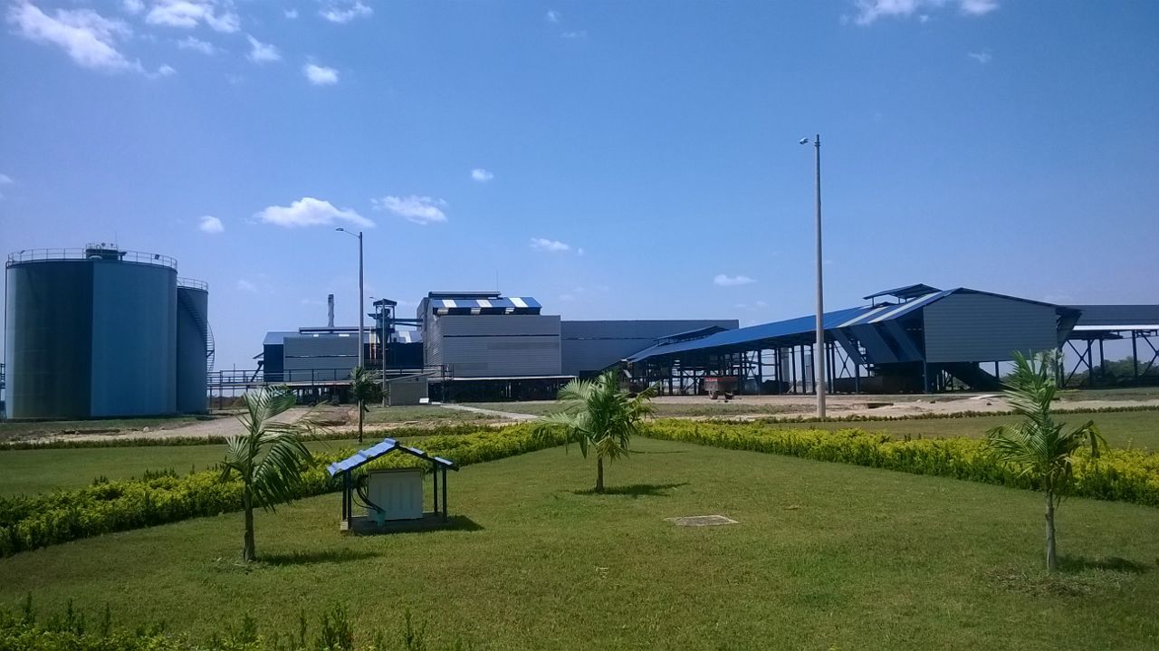 Alianza del Humea
