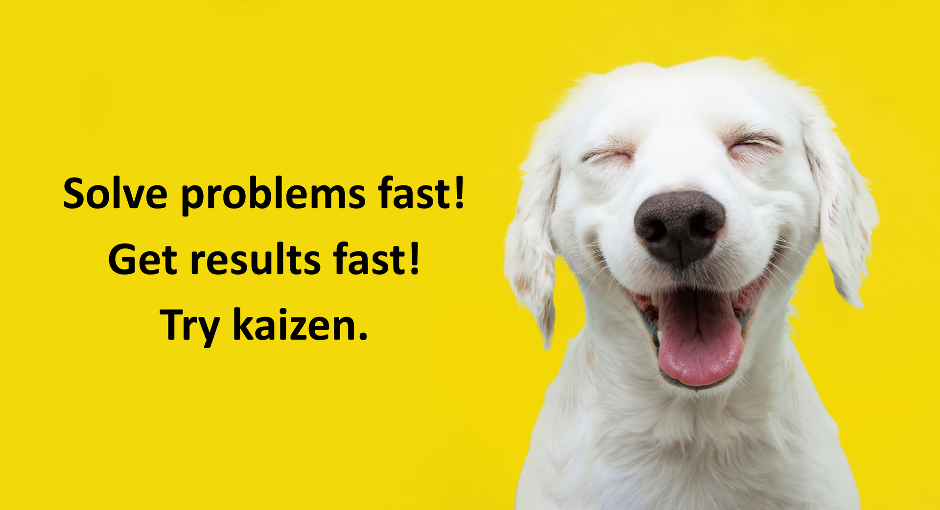 Kaizen is fast-paced, team-building, energizing, fun, and create big results.