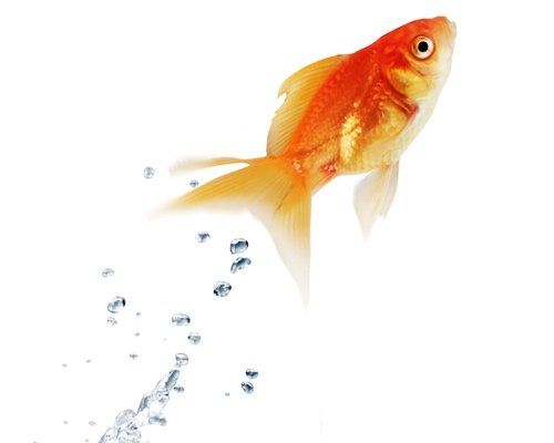 Current state - change management