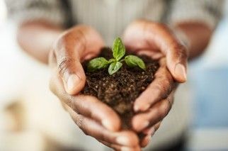 Join the international ideas month to increase ideas and daily/weekly idea routines.