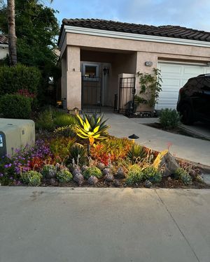 A well-lit succulent garden bed in front of a tan house.