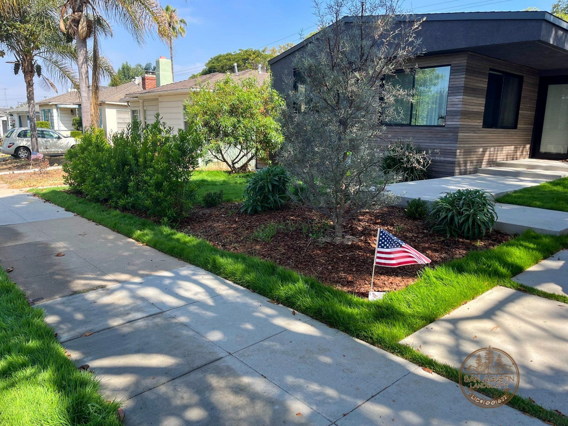 Front yard with a modern house, landscaping, and an American flag.
