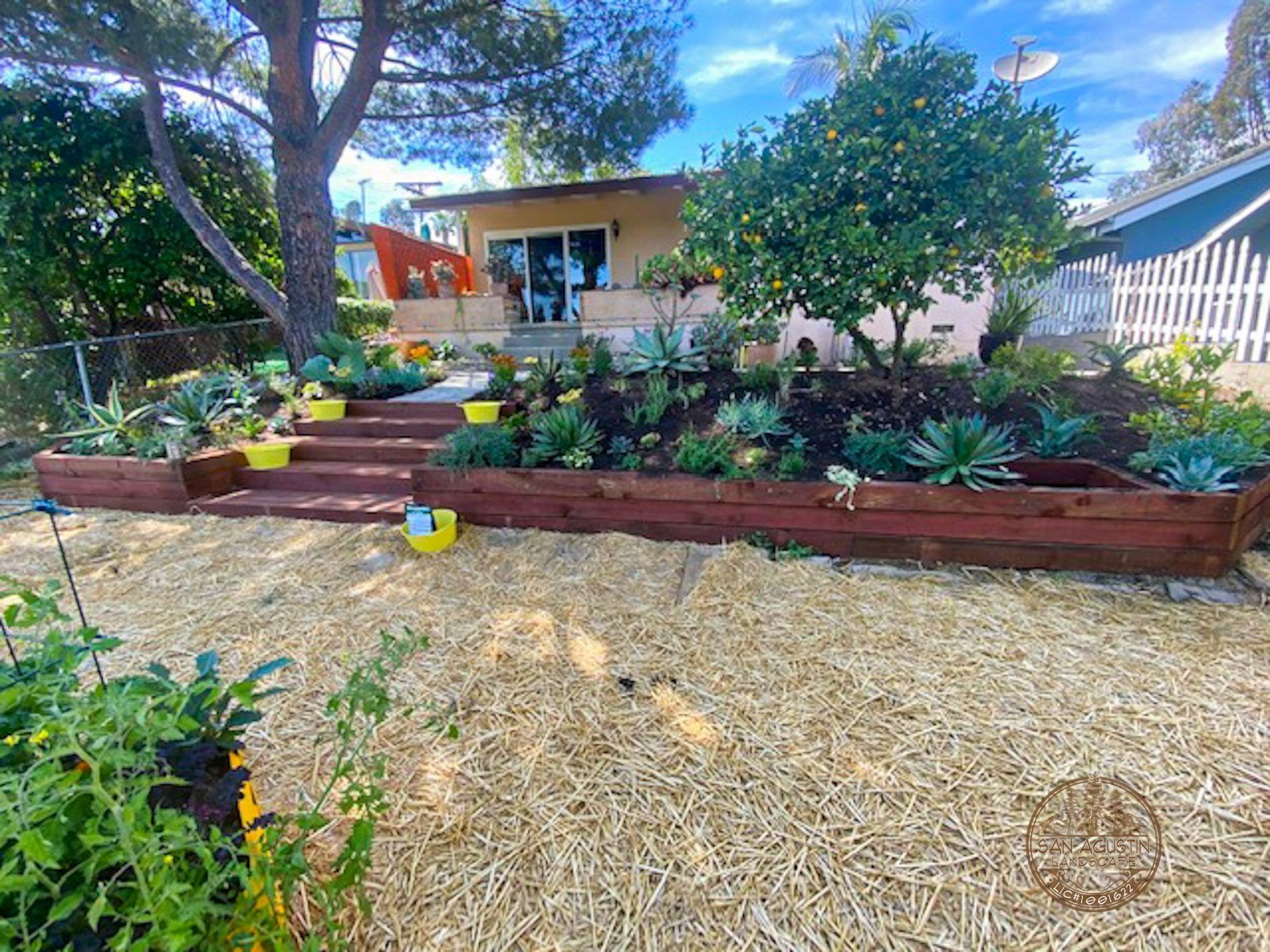 A sunny backyard with wooden steps leading to a house, flanked by succulent plants and a straw-covered yard.