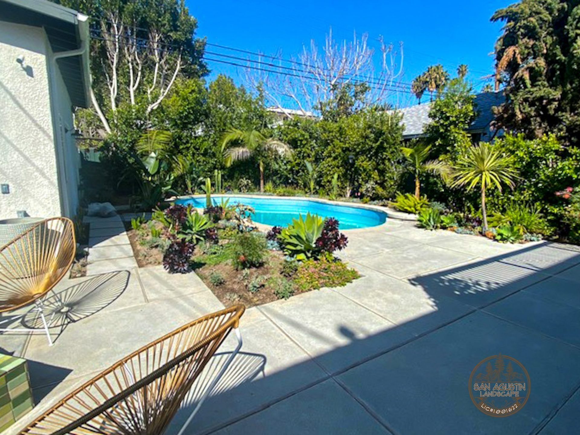 Backyard with swimming pool, surrounded by plants and concrete patio, sunny day.