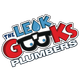 Logo for "The Leak Geeks Plumbers". Red, blue, and black text with cartoon glasses and a water droplet.