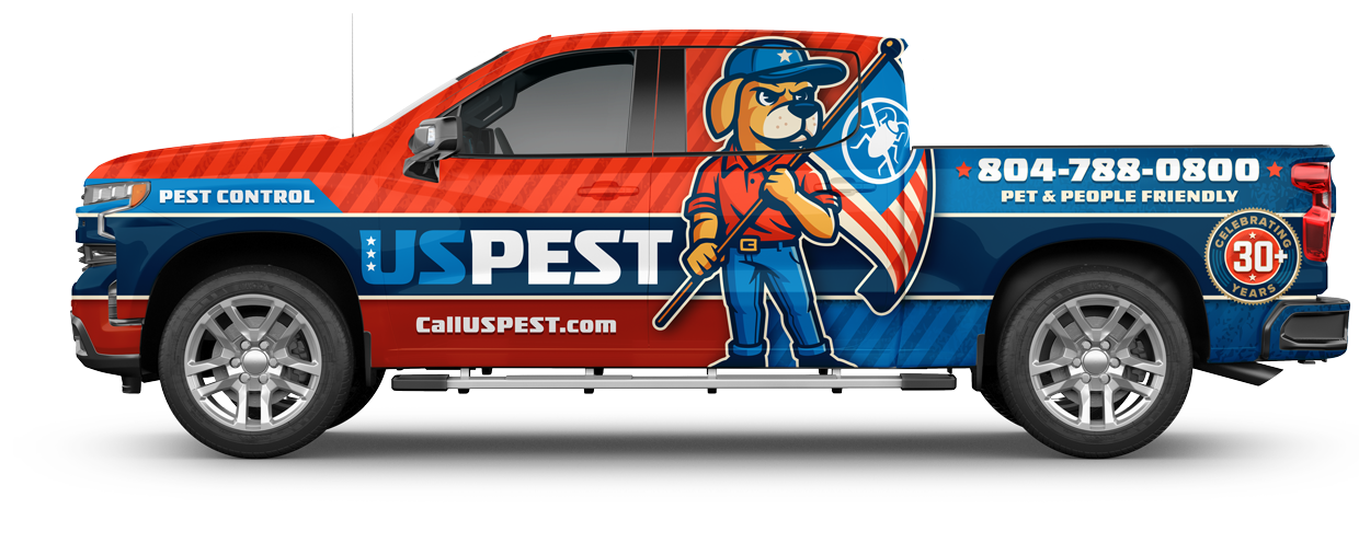 Pest Control Mechanicsville VA | Termite Control and Inspection | Pest ...