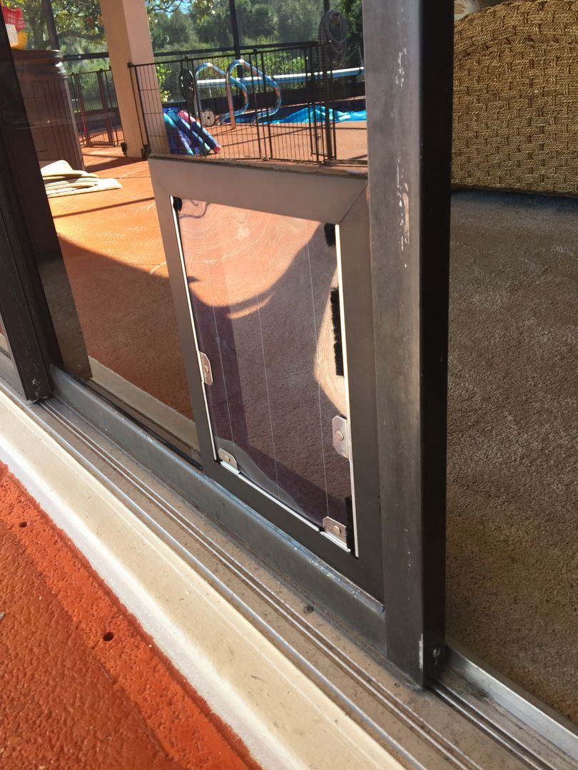 Doggie Door Glass