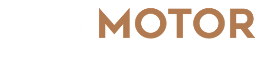 Palabra marrón