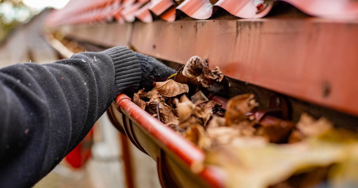 Gloved hand clearing brown leaves from a red roof gutter in autumn