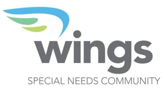 Wings logo: stylized wing graphic, blue and green, over the word