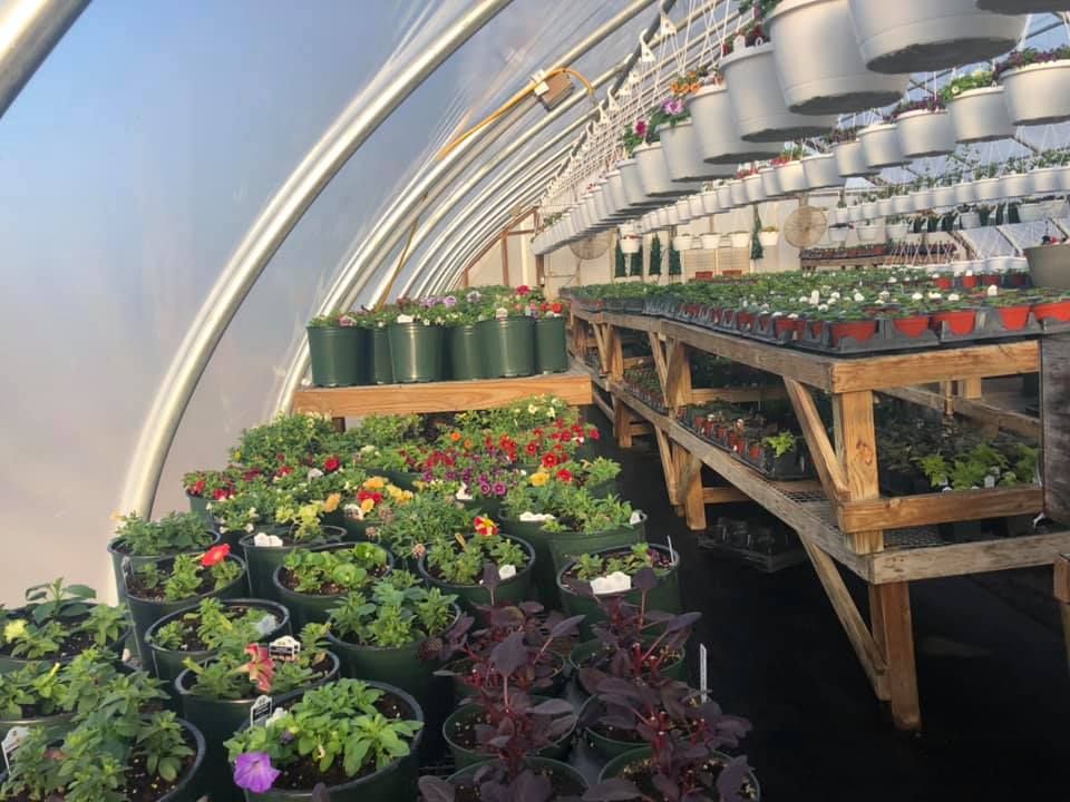 Garden Center